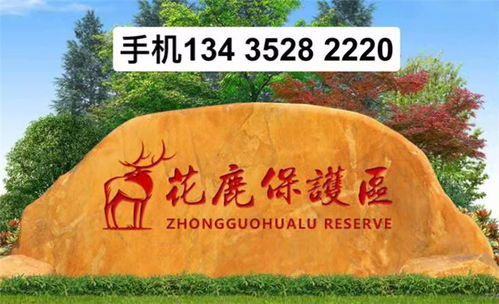 【景观石低价出击、厂价抄底疯抢】- 