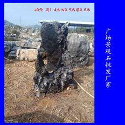 【奇石太湖石批发广东奇石太湖石厂家在哪里园林景观石图片】-