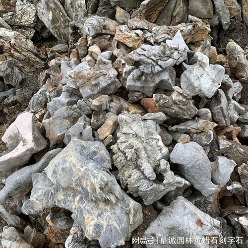 天然太湖石庭院水岸造景石 太湖石假山流水堆砌景观石