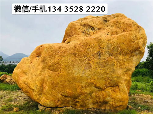【大型奇石,广东风景石,广东景观石价格】- 