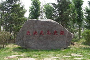 哪里有景观石谁知道