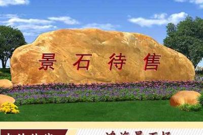 产品信息
