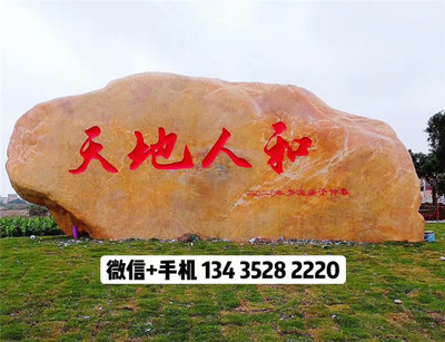 绿化园林造景石,衡阳大型园林石景观石,学校文化石