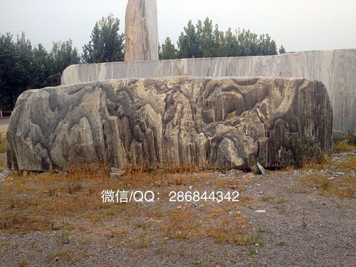 西安泰山石 一鸣景观石