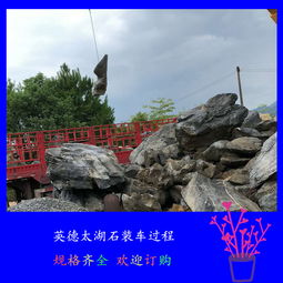【自产自销太湖石灰色太湖石图片英德假山驳岸石厂家】-