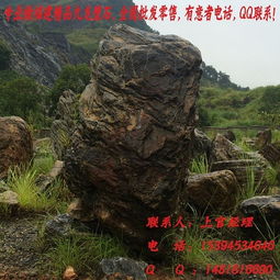 专业做平潭景观石精品九龙壁石,天然的九龙壁石