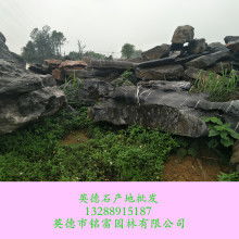  浙江省长兴县景观石采石基地 主营 景观石 太湖石 鹅然