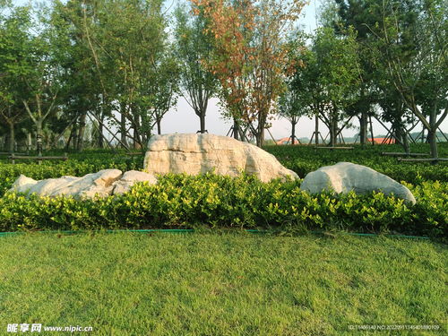 公园景观石的艺术之美 摄影与欣赏