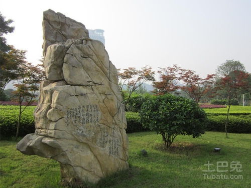 景观石价格及常见的景观石介绍