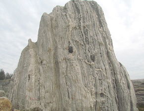 园林景观石雕刻选购指南 价格、型号规格与品质保证