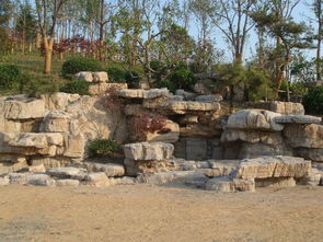 龟纹石 自然与艺术的融合，优质景观石供应指南