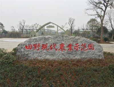 武汉景观石 城市肌理中的自然印记