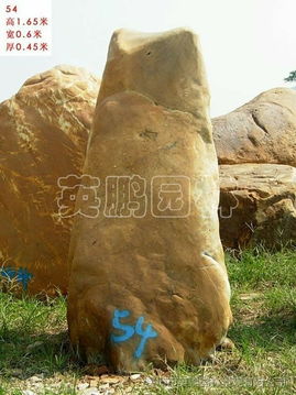 黄腊石与黄蜡石 园林景观石的艺术魅力与市场供应