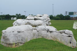 宝园园艺 玉树临风，匠心独运的景观石艺术